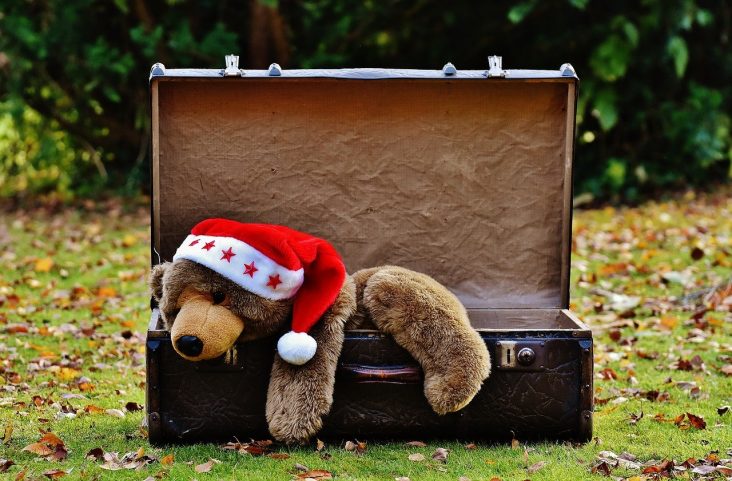 oso navideño en maleta